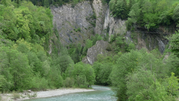 Tamarisken am Ausgang der Prosegg-Klamm