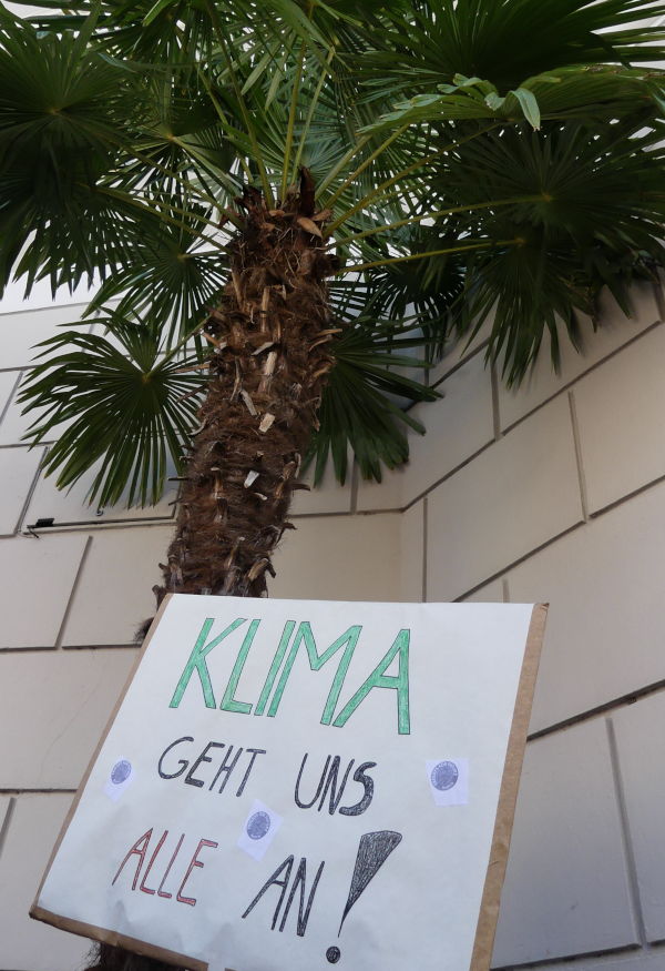 Klima-geht-uns-alle-an-Palme