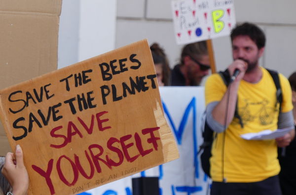 Save-the-Bees