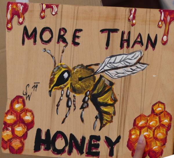 more-than-honey