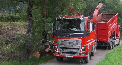 Lienz Rodung am Grafenbach