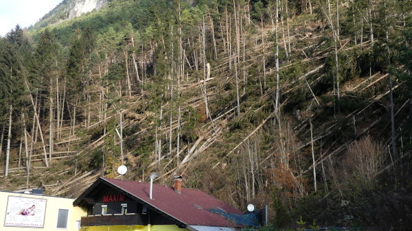 Oberdrauburg-Windwurf