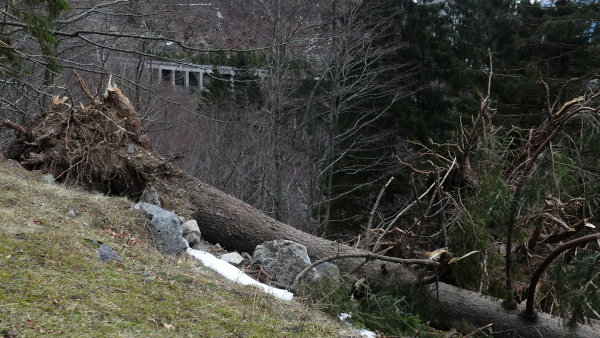 Ploeckenpass-Colinetta-di-sotto-Windwurf