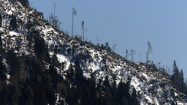 Lienz-Ederplan-Windwurf