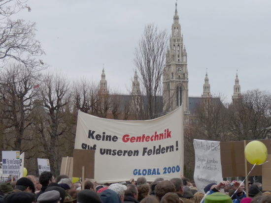 Wien Rathaus