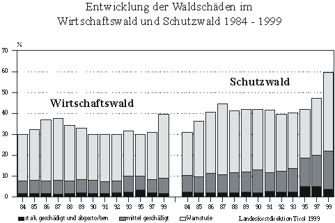 Entwicklung der Waldschden 1984-1999