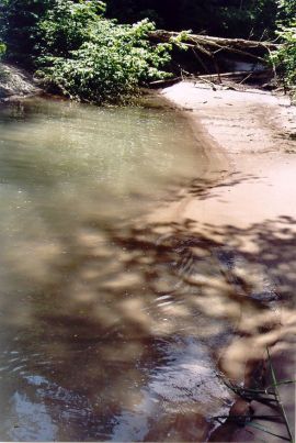 Natura 2000: Drau in Oberkrnten