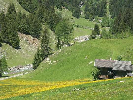 Alm im Osttiroler Tauerntal