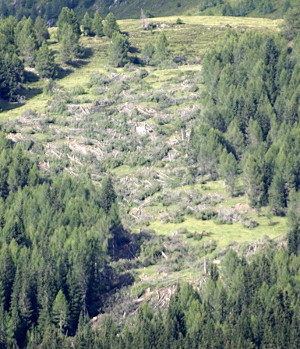 Rodungen Sexten (Stauder)